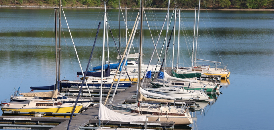 Mehrere Segelboote liegen an einem Steg am ruhigen Wasser eines Sees, umgeben von gr&uuml;nen B&auml;umen.