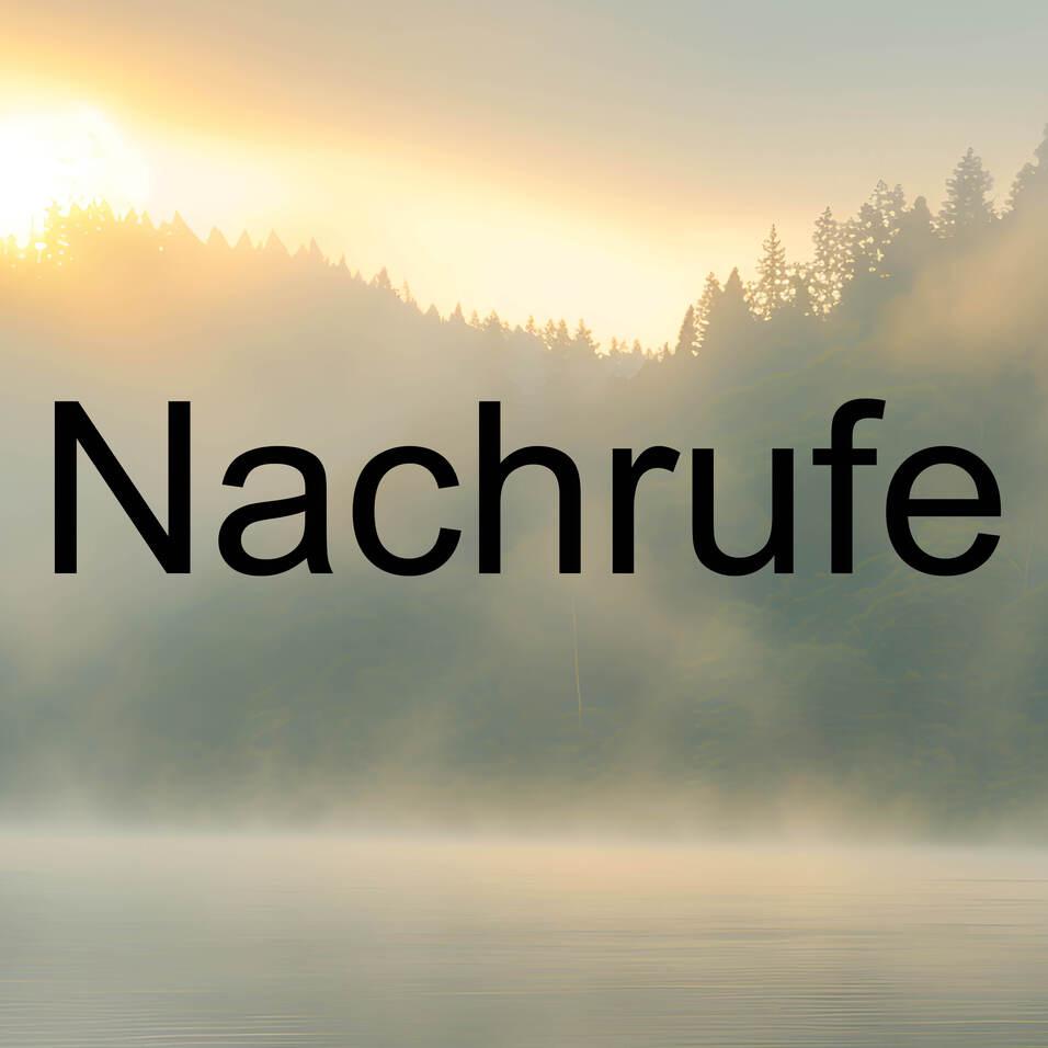 Sonnenaufgang &uuml;ber einem nebligen See, umgeben von B&auml;umen, mit dem Wort &bdquo;Nachrufe&ldquo; in gro&szlig;er Schrift.
