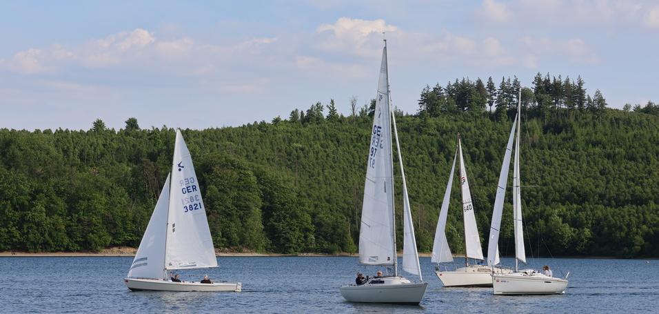 Vier Segelboote gleiten sanft auf einem ruhigen Gew&auml;sser, umgeben von gr&uuml;nen Ufern unter blauem Himmel.