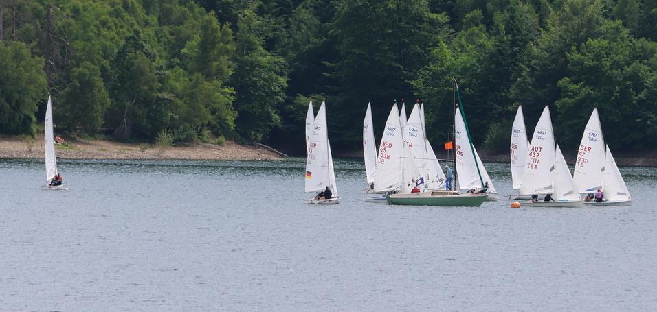 Mehrere Segelboote mit wei&szlig;en Segeln auf einem ruhigen See, umgeben von gr&uuml;nen W&auml;ldern im Hintergrund.