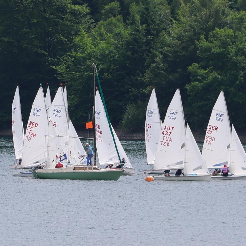 Mehrere Segelboote mit wei&szlig;en Segeln auf einem ruhigen See, umgeben von gr&uuml;nen W&auml;ldern im Hintergrund.